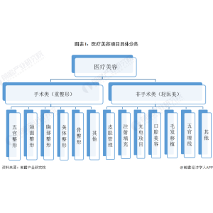 leyu·乐鱼网址预感2023：《2023年中国医疗美容行业