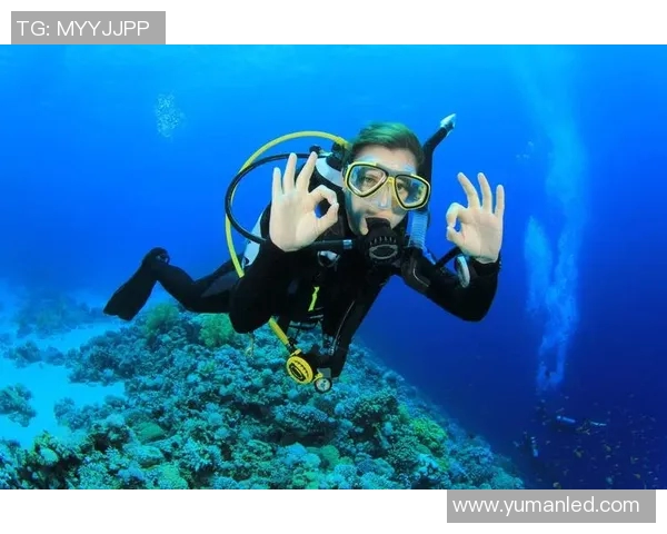 潜水泳装时尚潮流解析,打造舒适与美观并重的海底穿搭体验