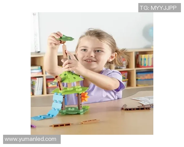 创意儿童玩具大集合 促进智力发展与动手能力提升的玩具推荐