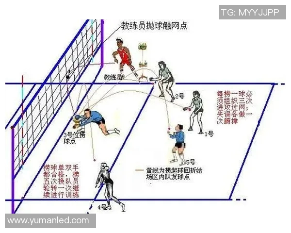 从零起步掌握排球技巧全方位指南助你成为排球高手