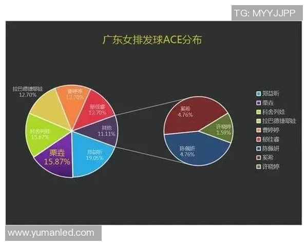 成都排球队心理素质深度对比分析与影响因素探讨